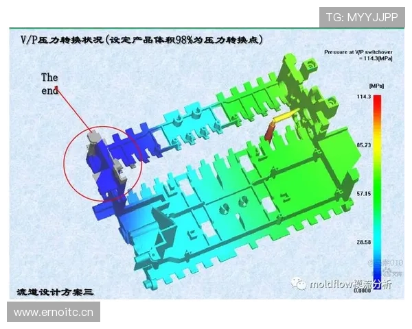 亚马尔与加维:出道年龄与成长路径对比分析 亚马尔与加维:出道年龄与成长路径对比分析